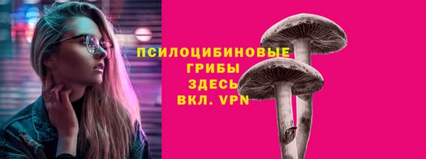 mdpv Надым