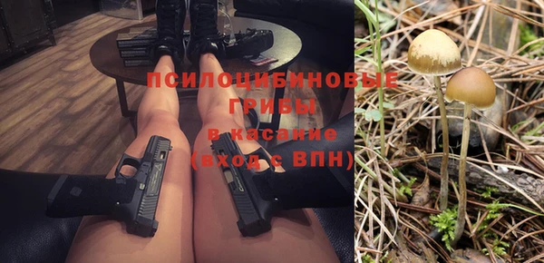 mdpv Надым