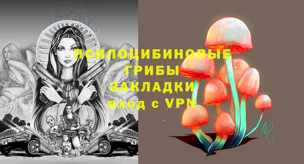 mdpv Надым