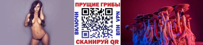где продают наркотики  Павлово  Галлюциногенные грибы Psilocybe 