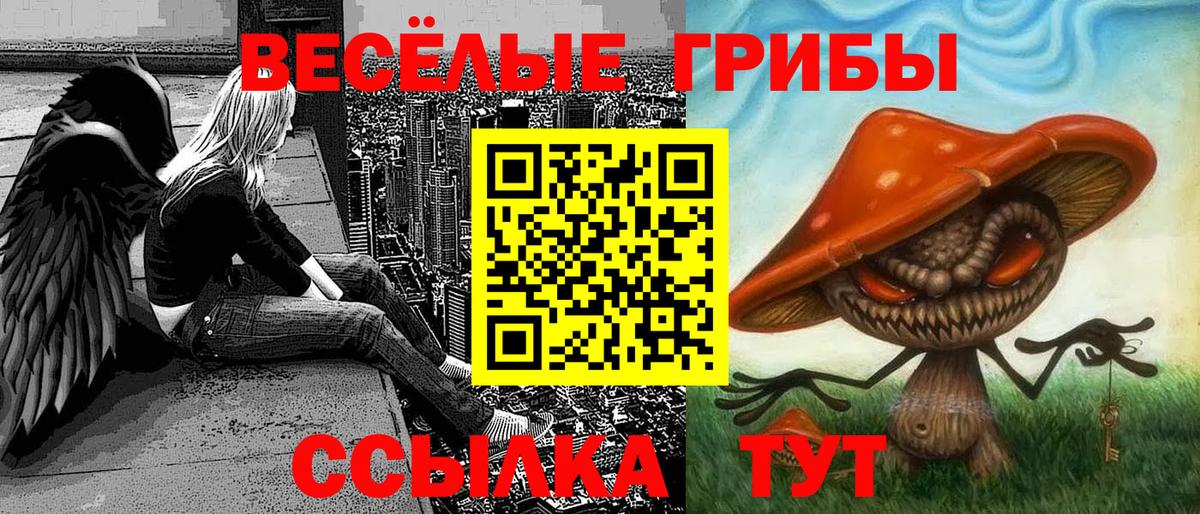 Галлюциногенные грибы мухоморы Павлово