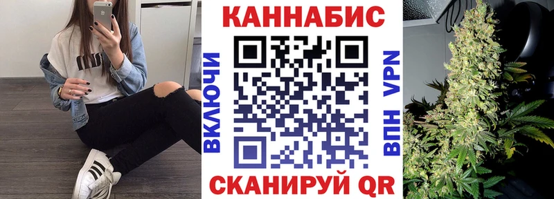 Бошки Шишки план Павлово